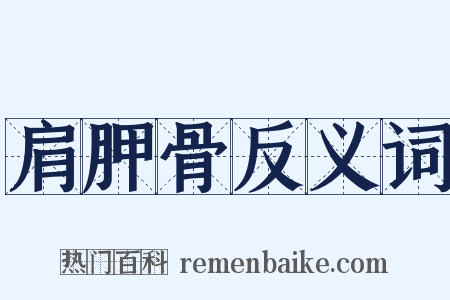 肩胛骨反义词是什么意思的图片
